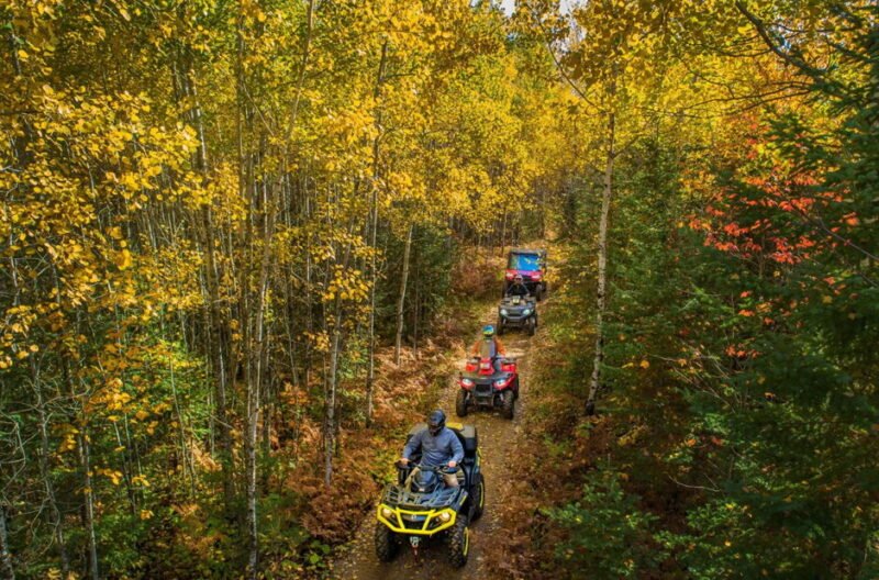 the art of atv riding techniques and tips for beginners