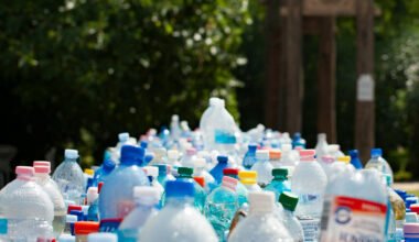 the role of recycling in a sustainable waste management strategy