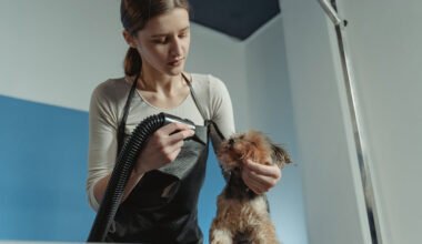 the telltale signs how your groomer acts as a first line of defense for pet health