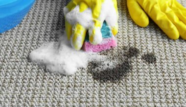 top carpet cleaning tips