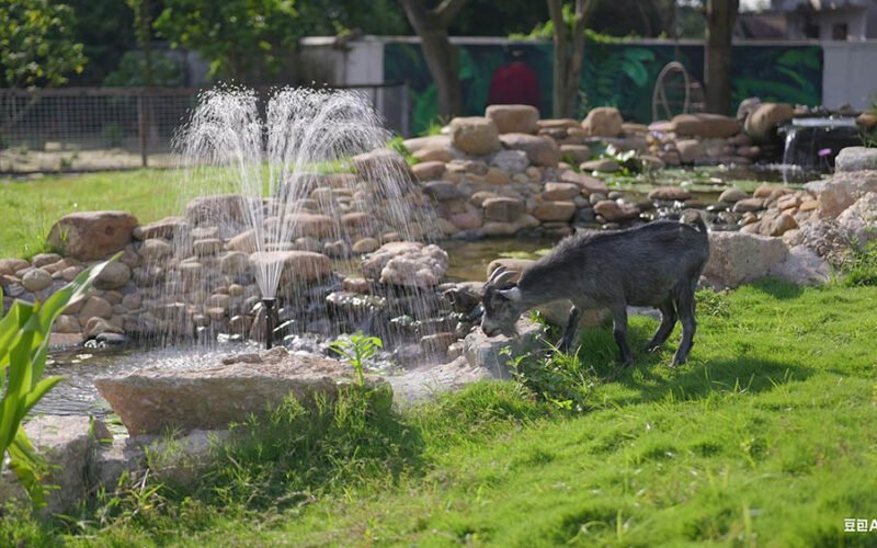 why every garden needs a water fountain and pump 1