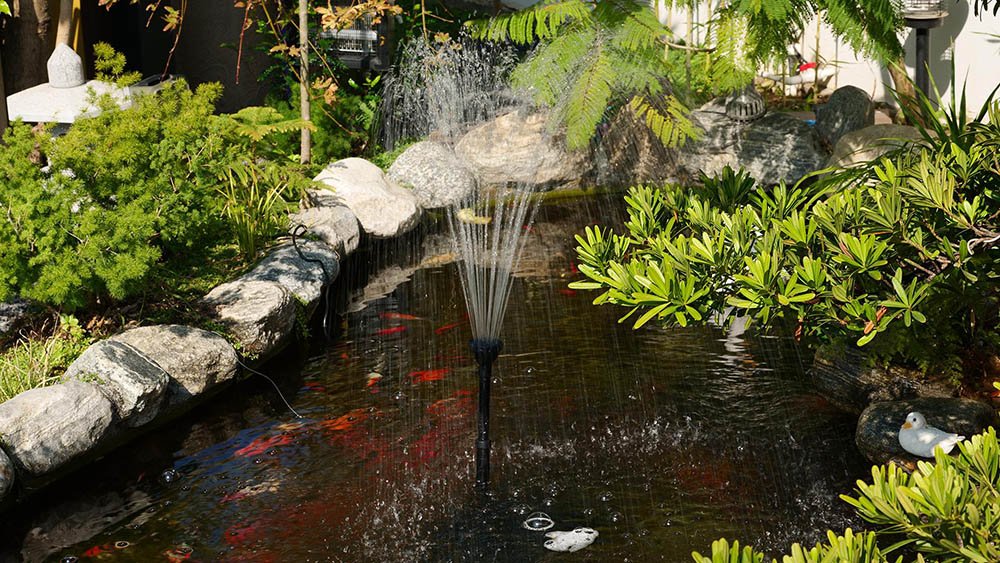 why every garden needs a water fountain and pump 12