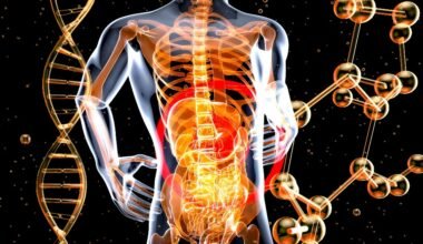 why stomach health matters more than you think for overall wellness