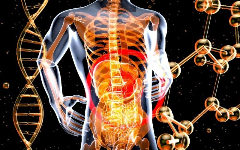 why stomach health matters more than you think for overall wellness