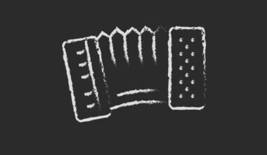 beginner's guide to the concertina instrument