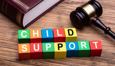 child support law