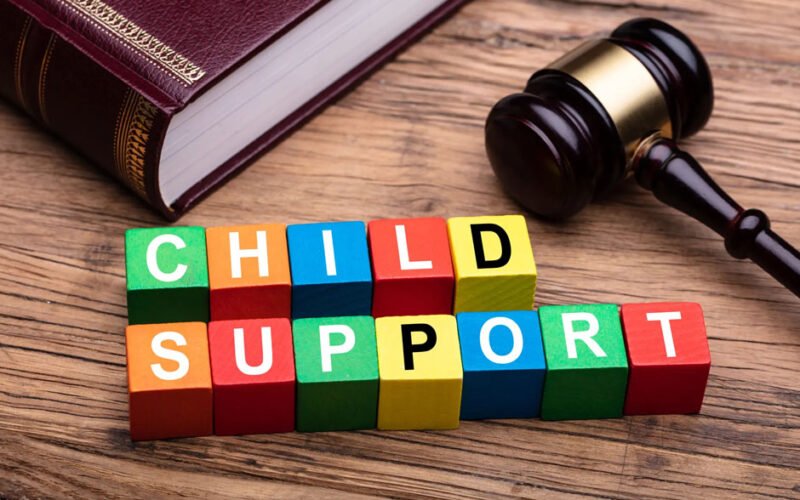 child support law