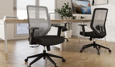 ergonomic office chairs