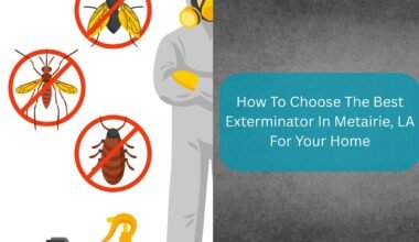 how to choose the best exterminator 1