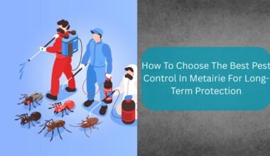 how to choose the best pest control in metairie for long term protection