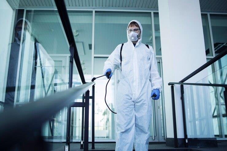 how to choose the best pest control in metairie for long term protection 4