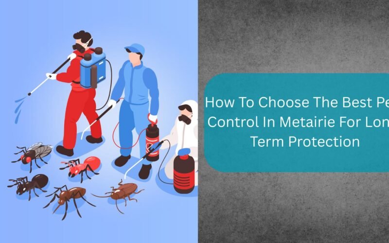 how to choose the best pest control in metairie for long term protection