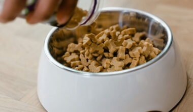 how to choose the best high quality dog food for your furry friend
