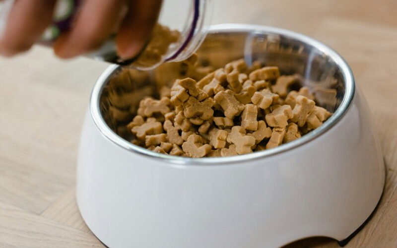 how to choose the best high quality dog food for your furry friend