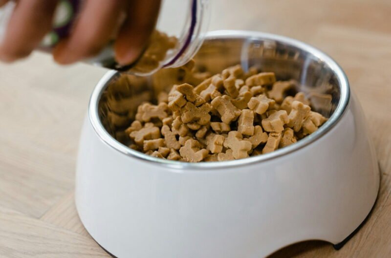 how to choose the best high quality dog food for your furry friend