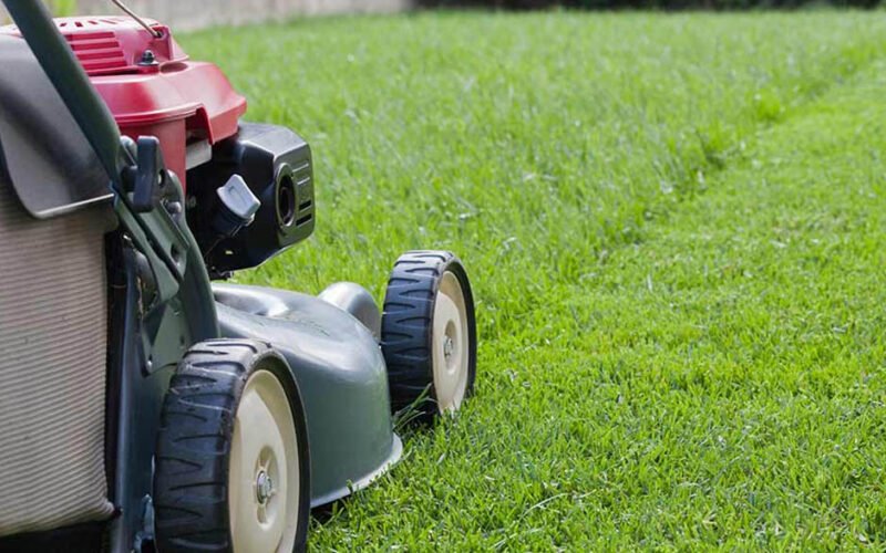lawn care services