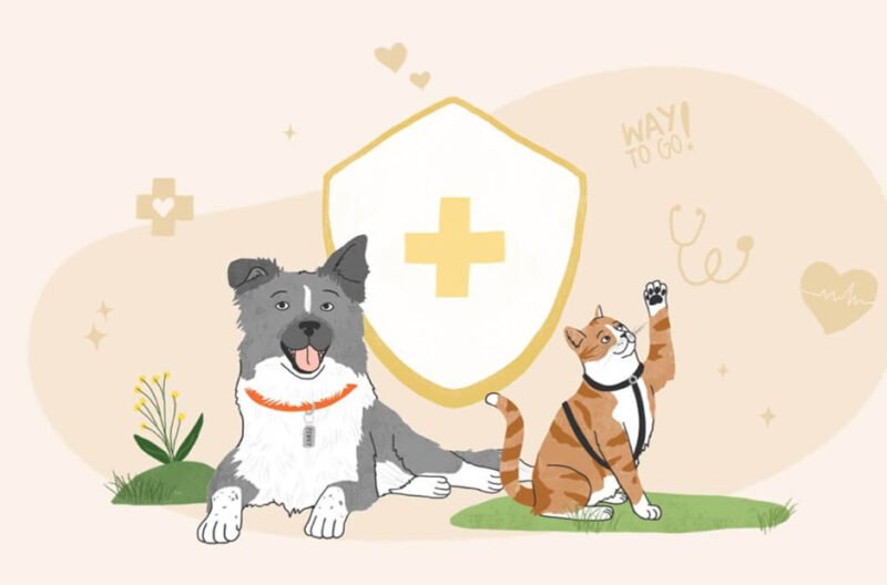 learn emergency care to protect your pets