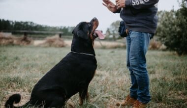 mastering dog communication insights into canine behavior