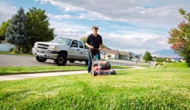 sustainable strategies for year round lawn and landscape health