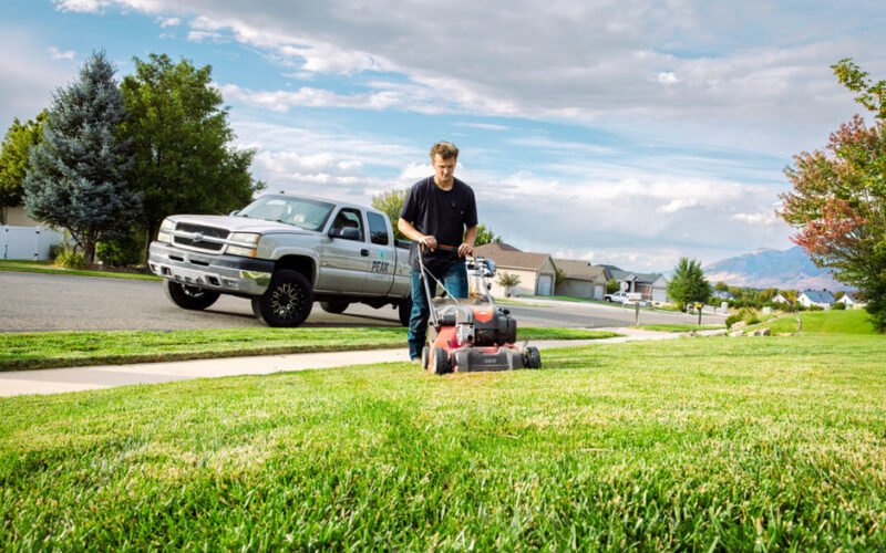 sustainable strategies for year round lawn and landscape health
