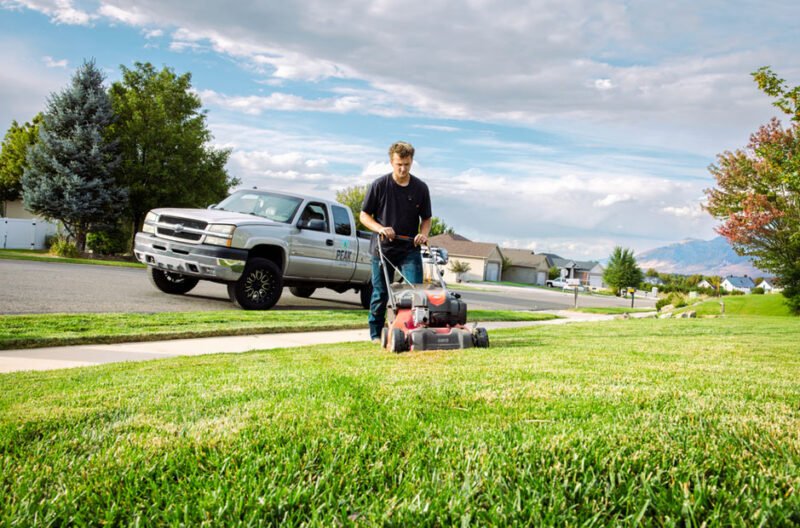 sustainable strategies for year round lawn and landscape health