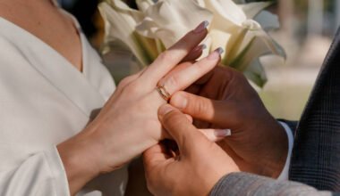 understanding the schedule 3 partner visa