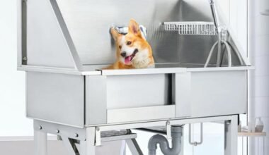 why health conscious pet owners need a dog washing station for home