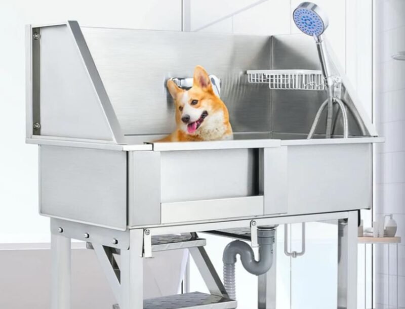 why health conscious pet owners need a dog washing station for home