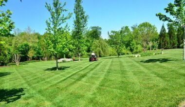 affordable lawn care services for homes and commercial spaces