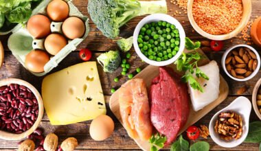 best healthy protein options to fuel your diet