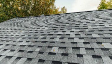 durable shingle roofing options for long lasting protection