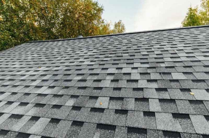 durable shingle roofing options for long lasting protection