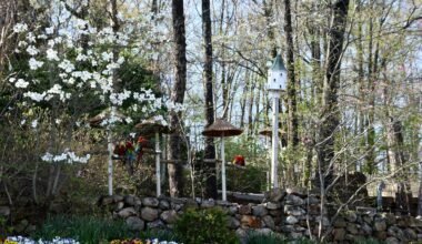 how to make the most of your mountain vacation