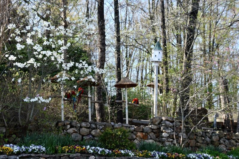 how to make the most of your mountain vacation