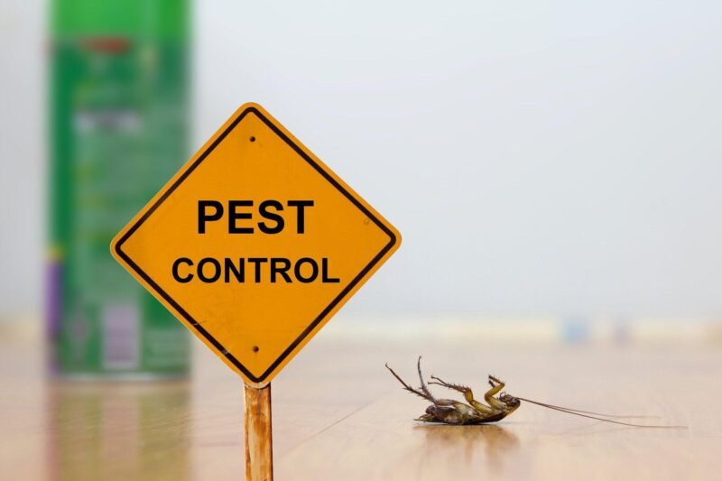 reliable pest control solutions to eliminate bugs fast