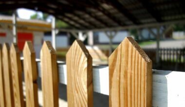 which wood lasts longer outdoors