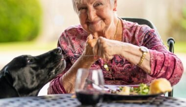 why senior nutrition programs matter for longevity