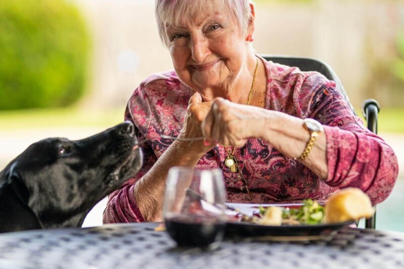 why senior nutrition programs matter for longevity