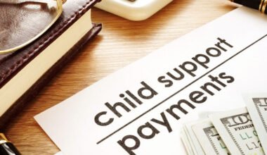 factors courts consider when setting child support