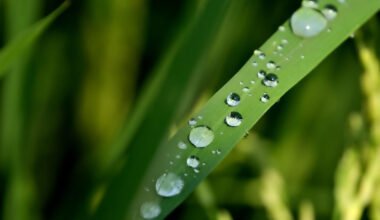 finding meaning by noticing the world more closely