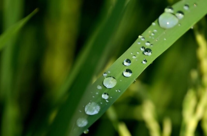 finding meaning by noticing the world more closely