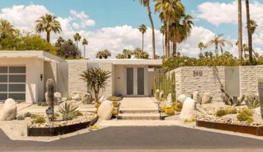 mold can grow in desert environments