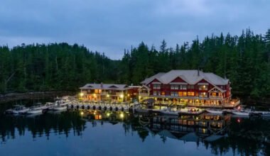 plan your stay at premier fishing lodges with expert tips and services