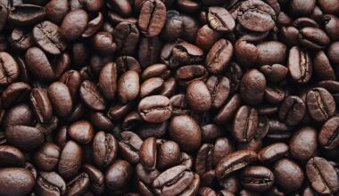 premium coffee beans for every coffee lover
