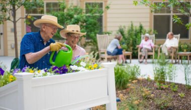 senior friendly gardening ideas for health and relaxation