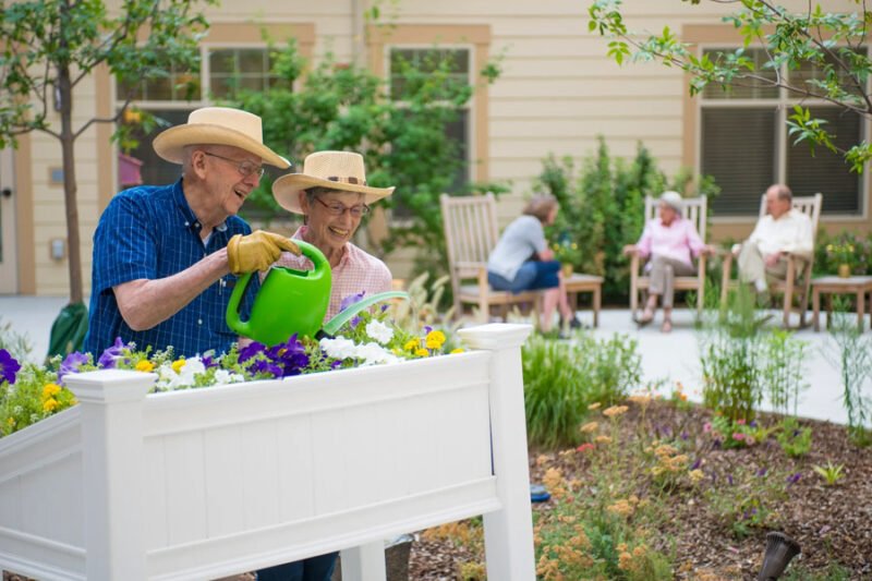 senior friendly gardening ideas for health and relaxation