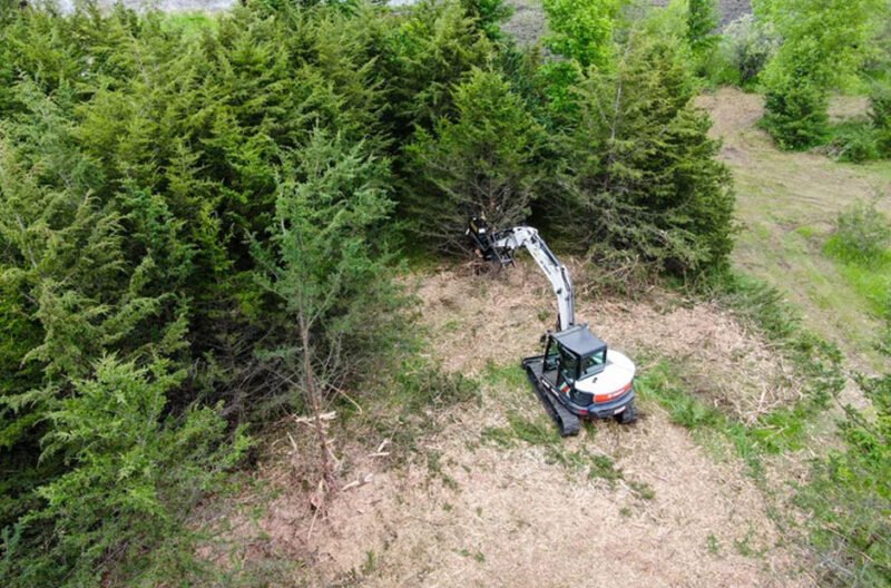 vegetation management equipment in modern landscaping