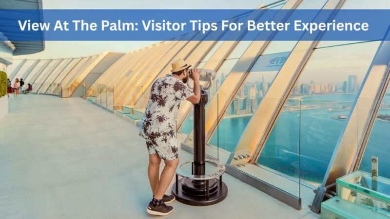 view at the palm visitor tips for better experience