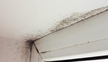 mold near a window in the house
