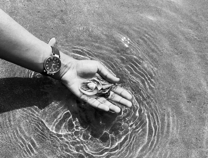 here's when homeowners should buy a water collection device (1)